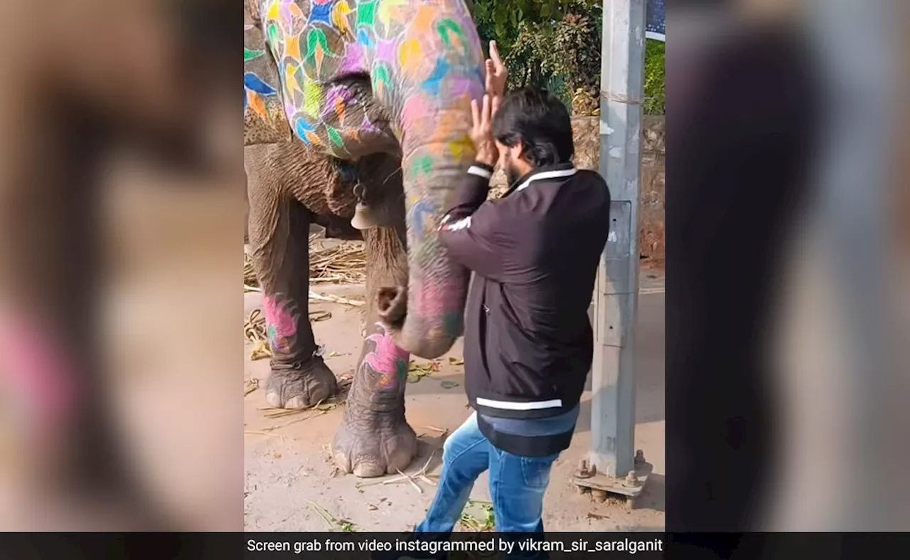 हाथी के बेहद करीब पहुंच गया शख्स, गजराज ने अचानक कर दिया हमला, सूंड से उठाकर हवा में ऐसा फेंका और फिर जो हुआ...