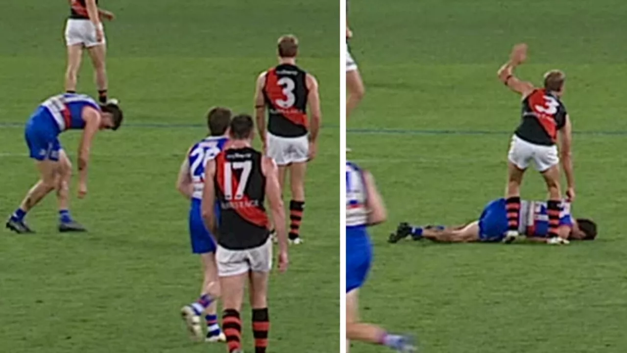 Dogs launch probe as collapse excuse roasted