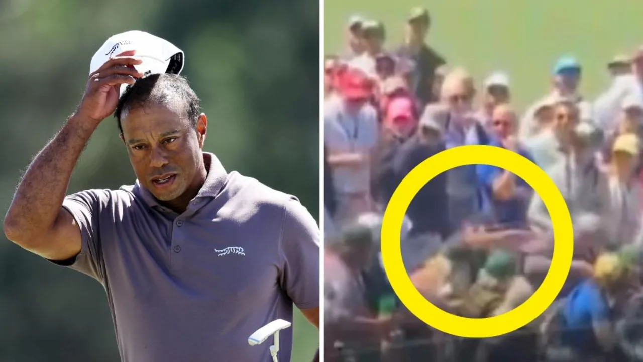 Tiger Woods knocks fan out in ugly scenes