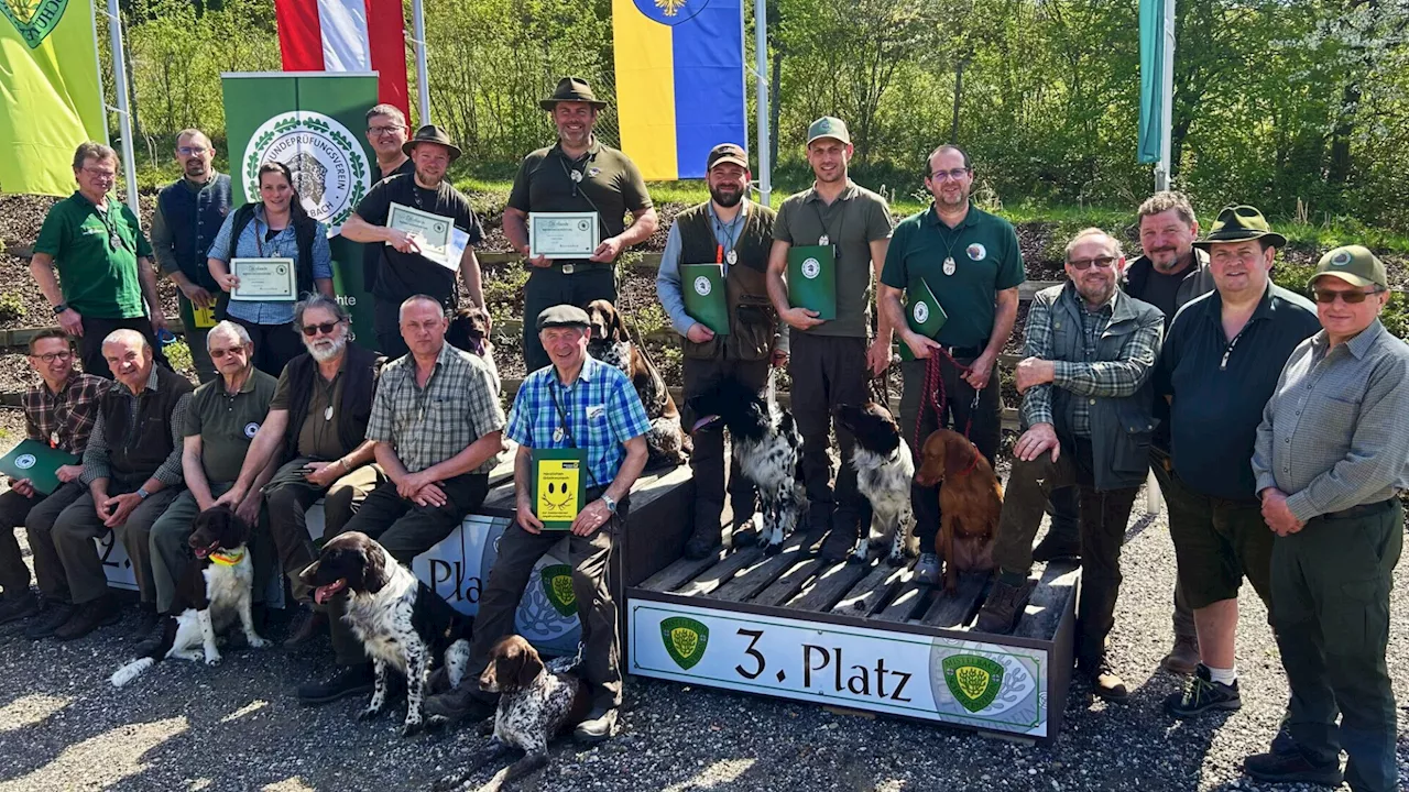 Jagdhunde bewiesen Zuverlässigkeit beim Bringen der Strecke