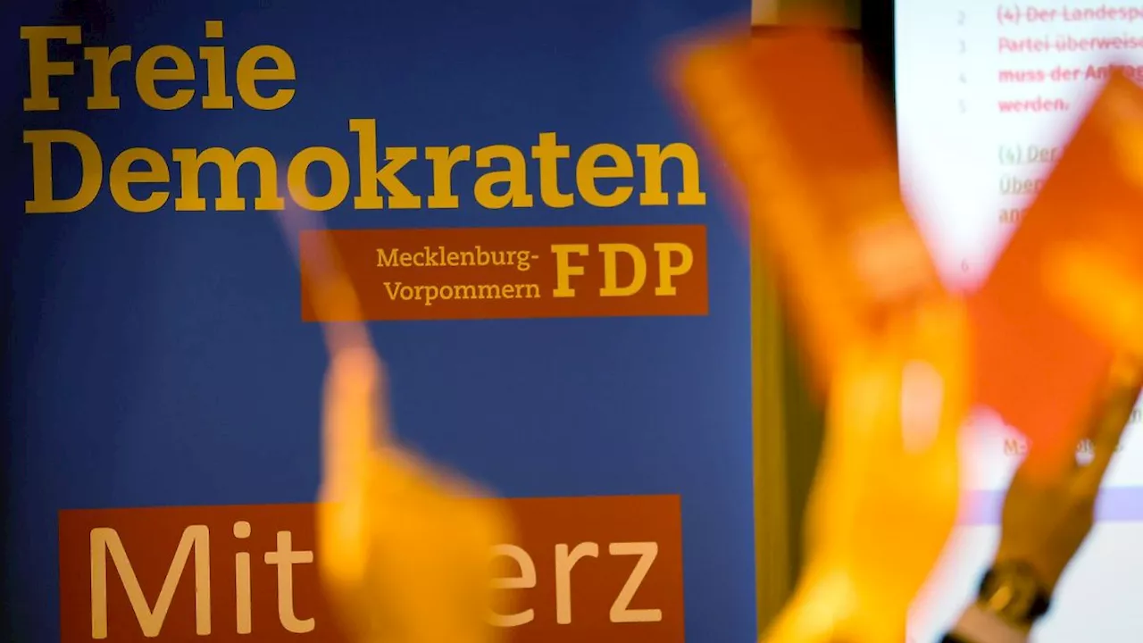 Mecklenburg-Vorpommern: FDP Mecklenburg-Vorpommern will näher an die Menschen ran