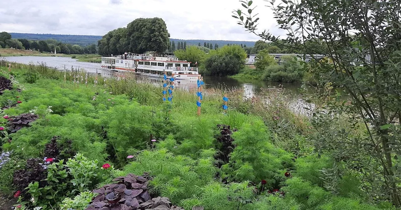 Neuer Fahrplan für die Flotte Weser