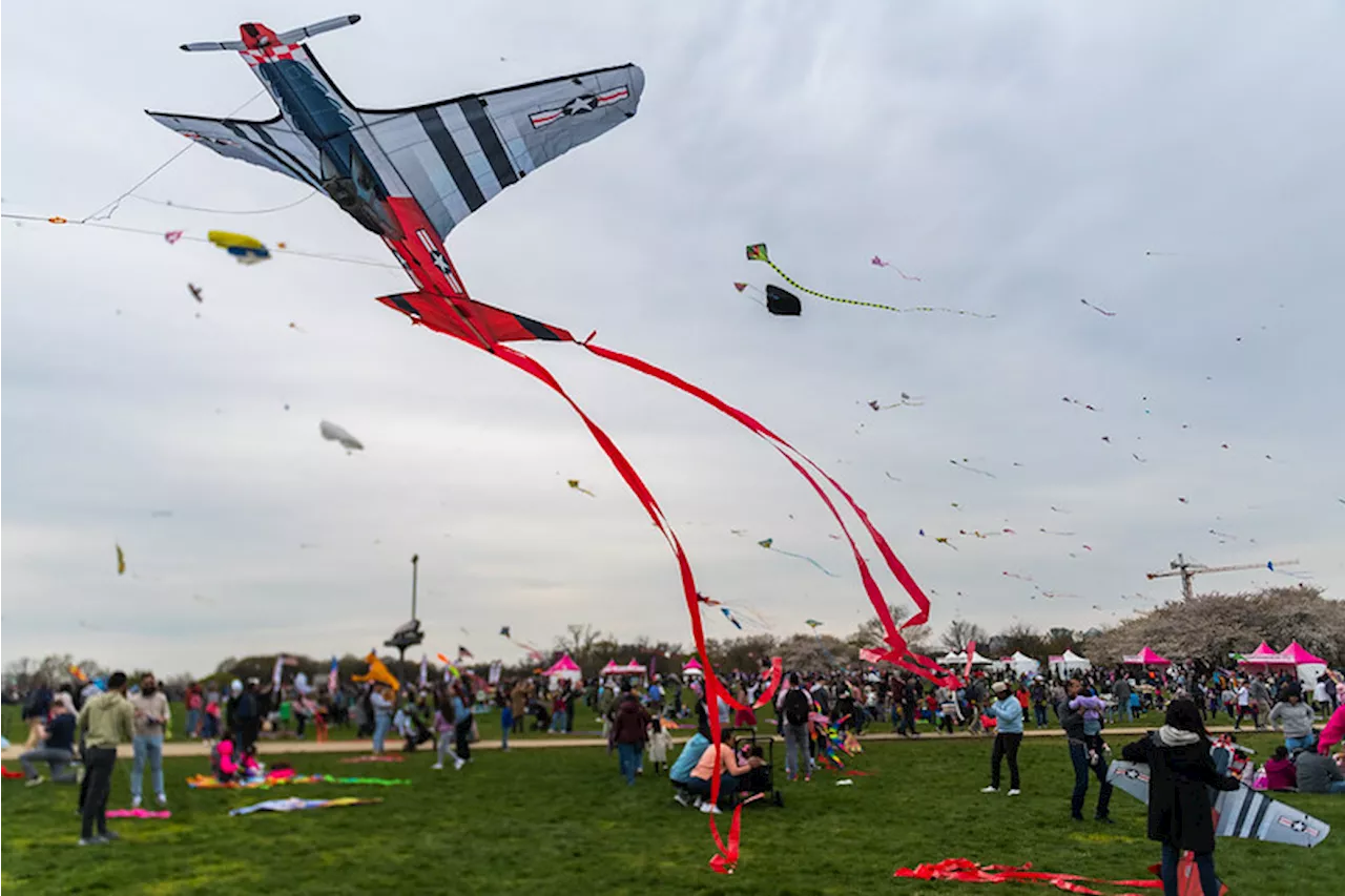 7th Annual Charity Polo Tournament to be Held on National Mall