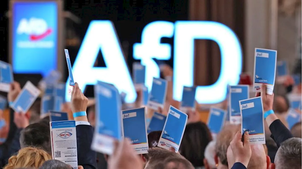 Die Brandenburger AfD will ihr Programm für die Landtagswahl beschließen