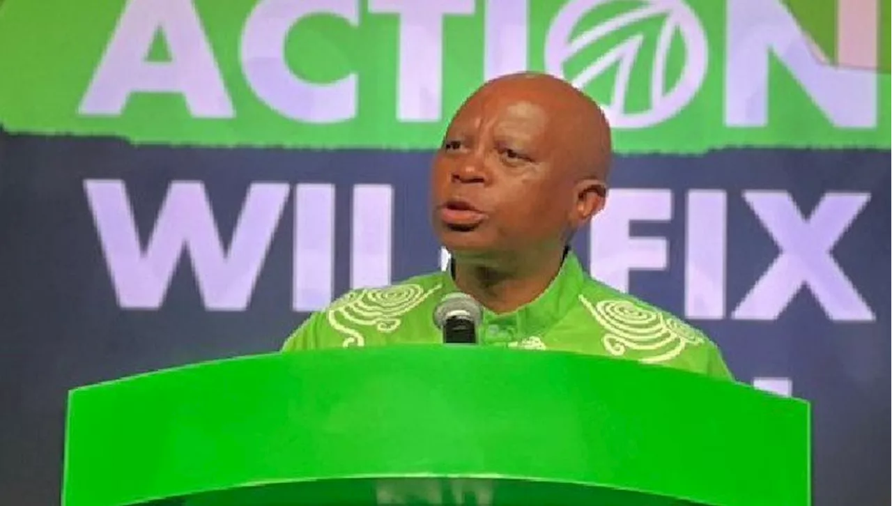 Herman Mashaba Dismisses Claims of Introducing VIP Protection Policy