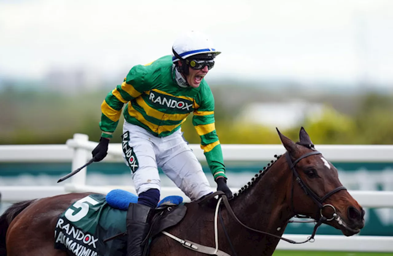 I Am Maximus crowned 2024 Grand National winner