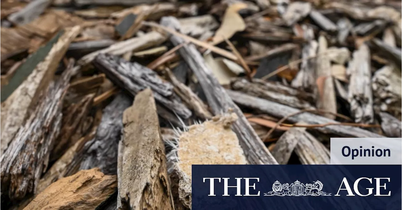 Asbestos fail: Allan government should have heeded the warning signs