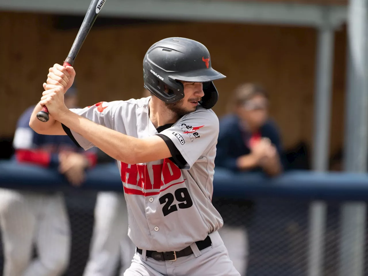 Baseball-Derby in Hard: Bulls treffen in der Bundesliga auf die Dornbirn Indians