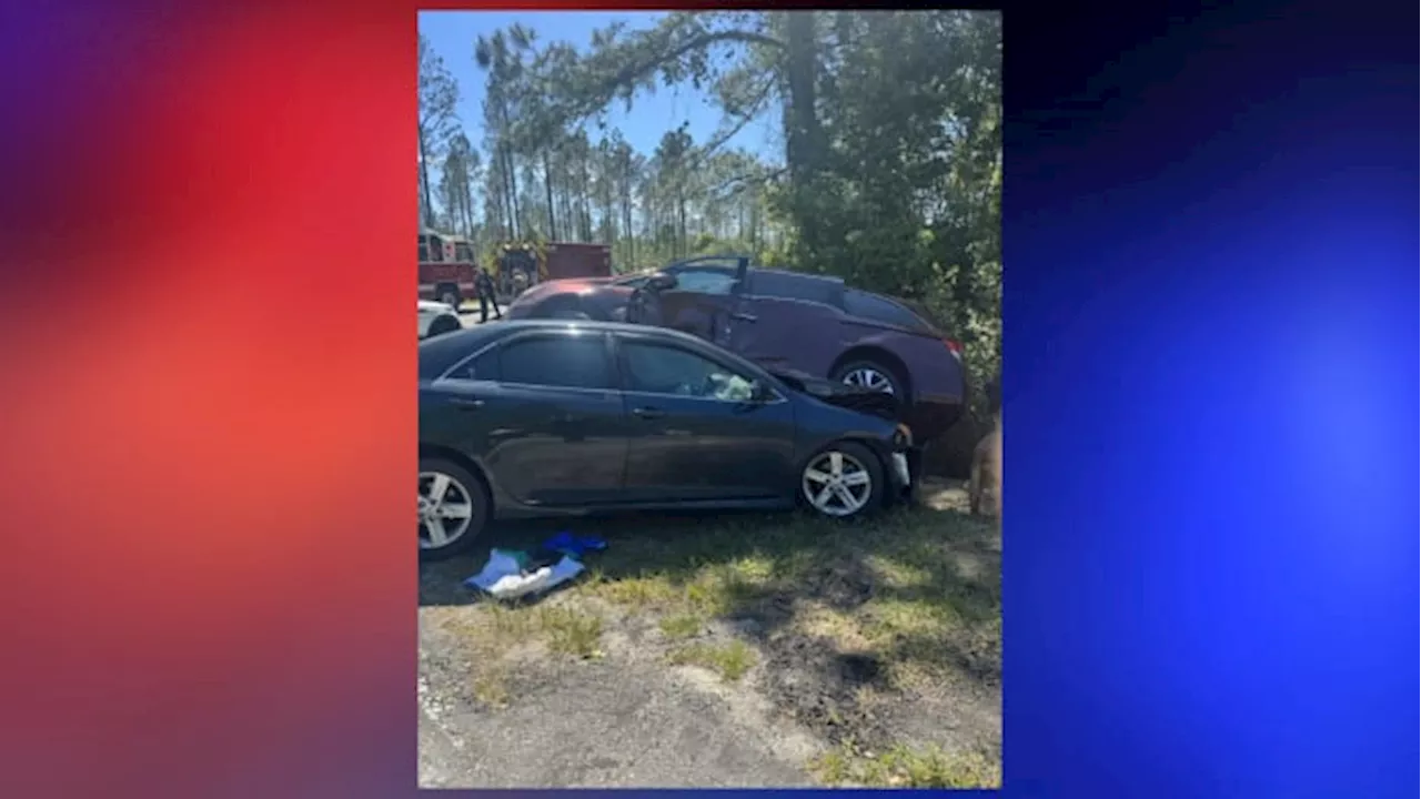 3 Georgia men arrested in connection with shooting incident that led to pursuit, crash in St. Johns County