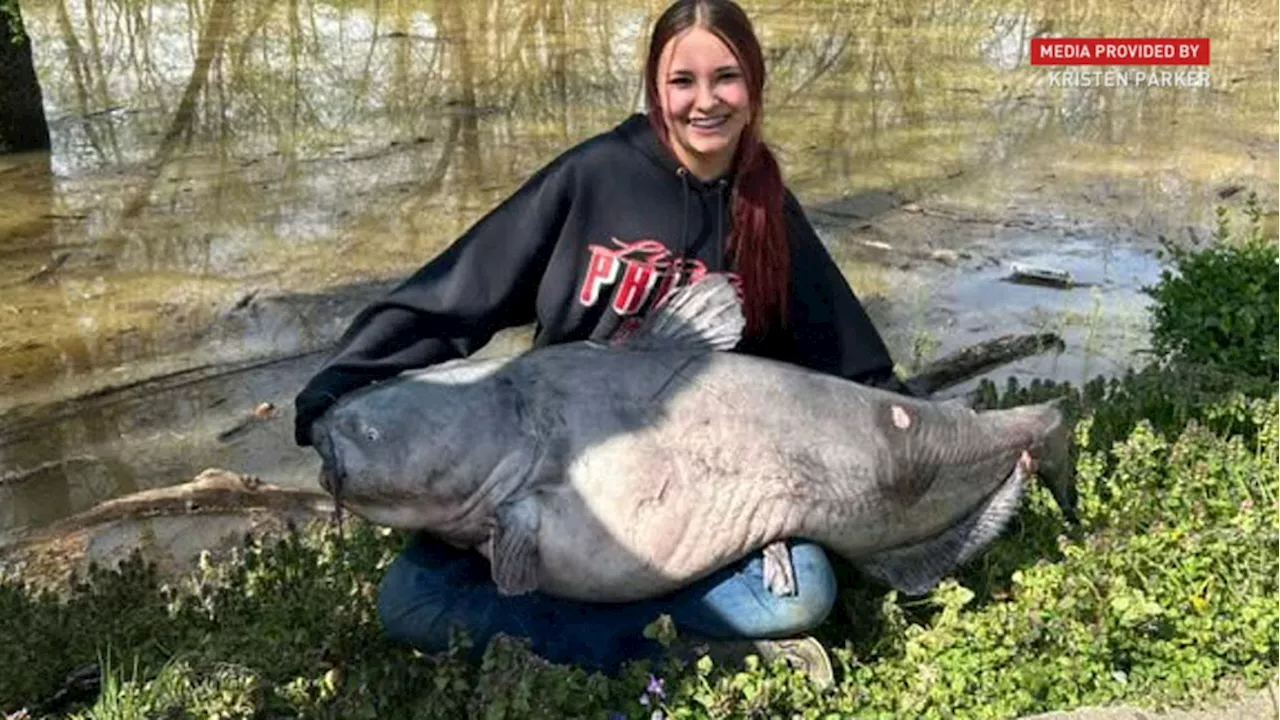 Massive fish caught in Ohio River by 15-year-old girl might be new state record