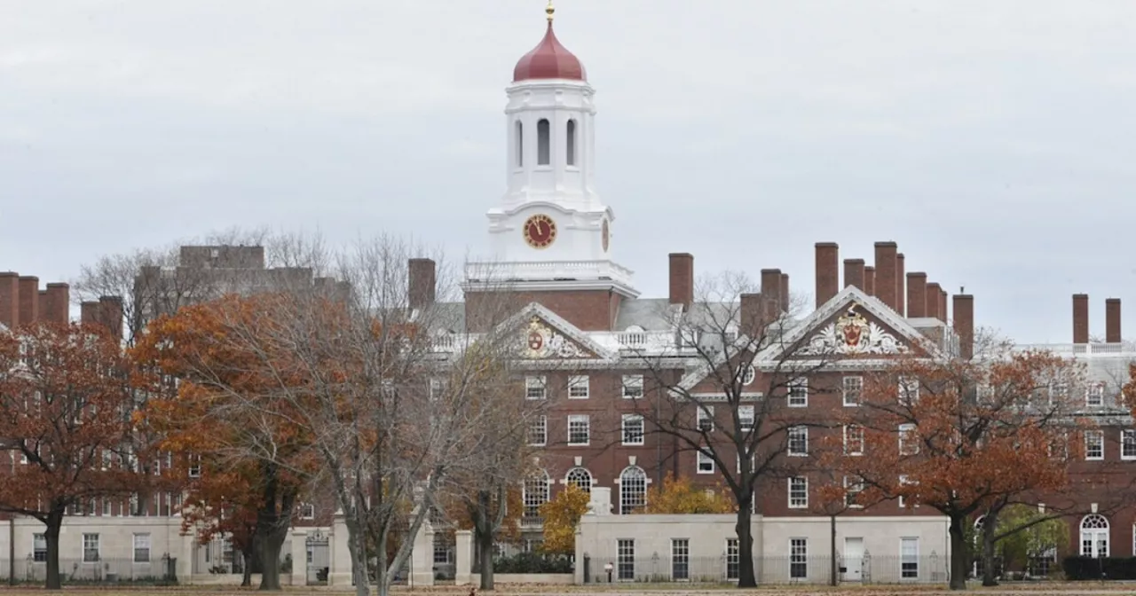 Survey Finds Harvard and Other Top Schools Not Doing Enough to Prevent Antisemitism