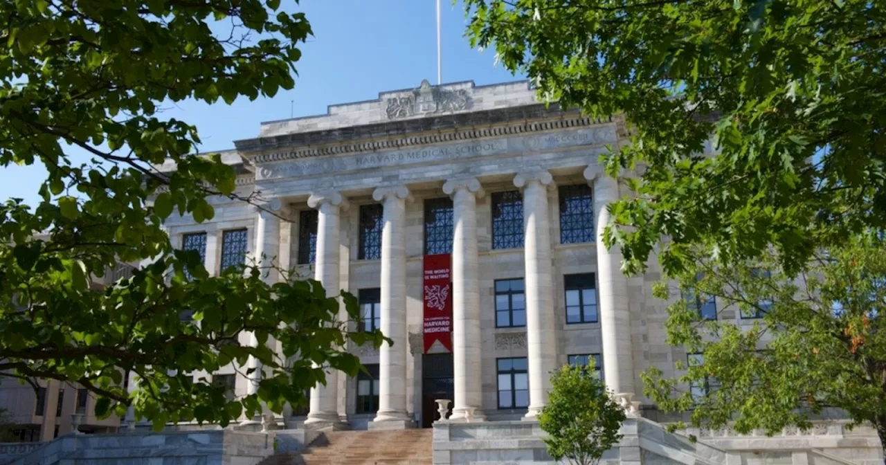 Woman pleads guilty to shipping body parts stolen from Harvard morgue