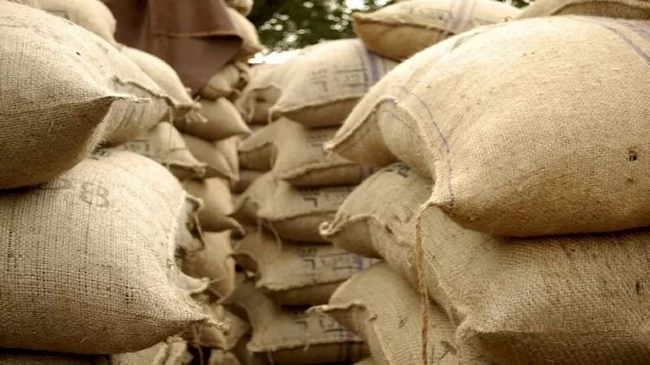 Pulses Hoarding: दालों की जमाखोरी पर नकेल कसने की तैयारी, सरकार ने दी कठोर कार्रवाई की चेतावनी