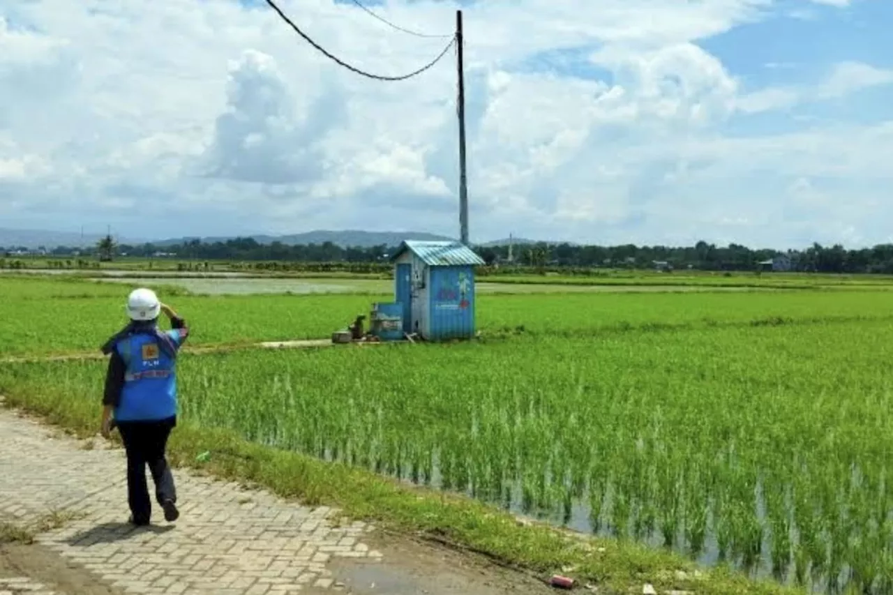 Kementan upayakan listrik masuk sawah demi optimalkan pompanisasi