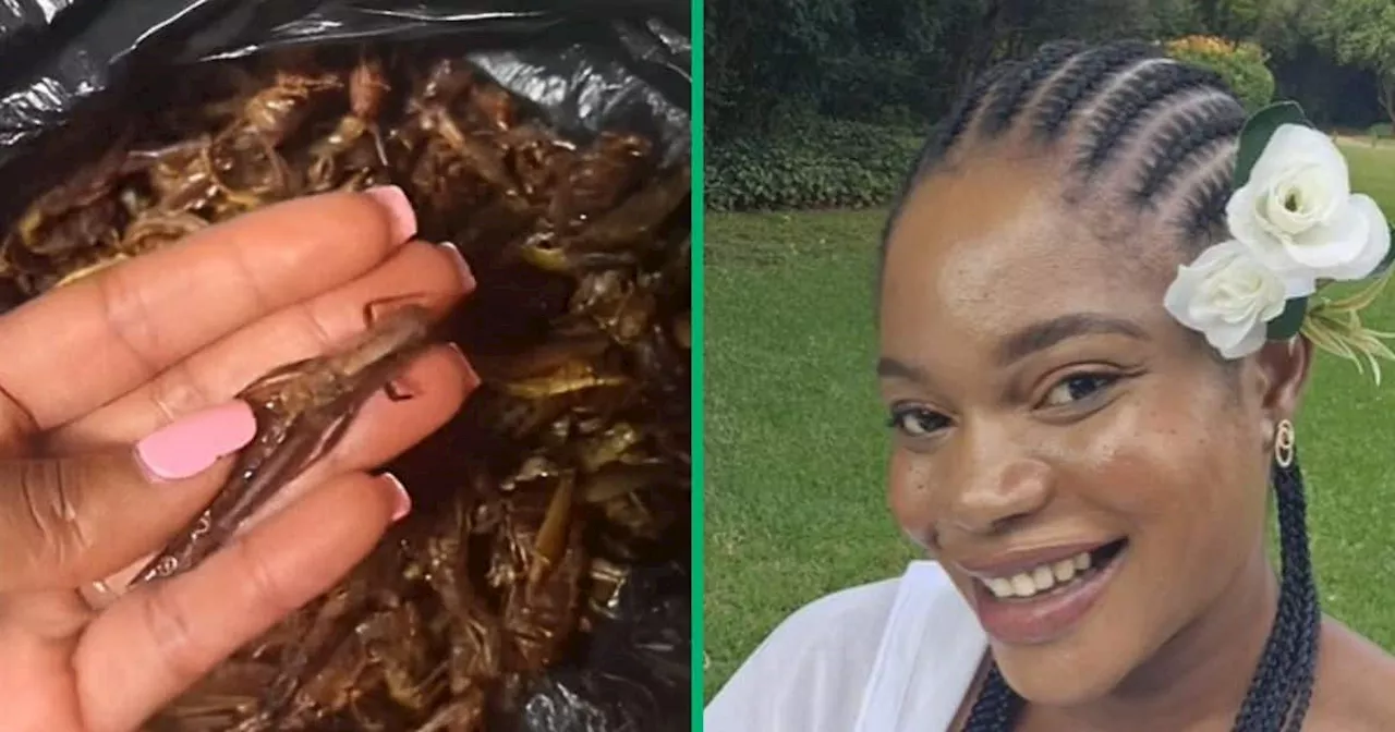 Tsonga Woman Prepares Grasshoppers and Pap in TikTok Video, SA Split Over Recipe