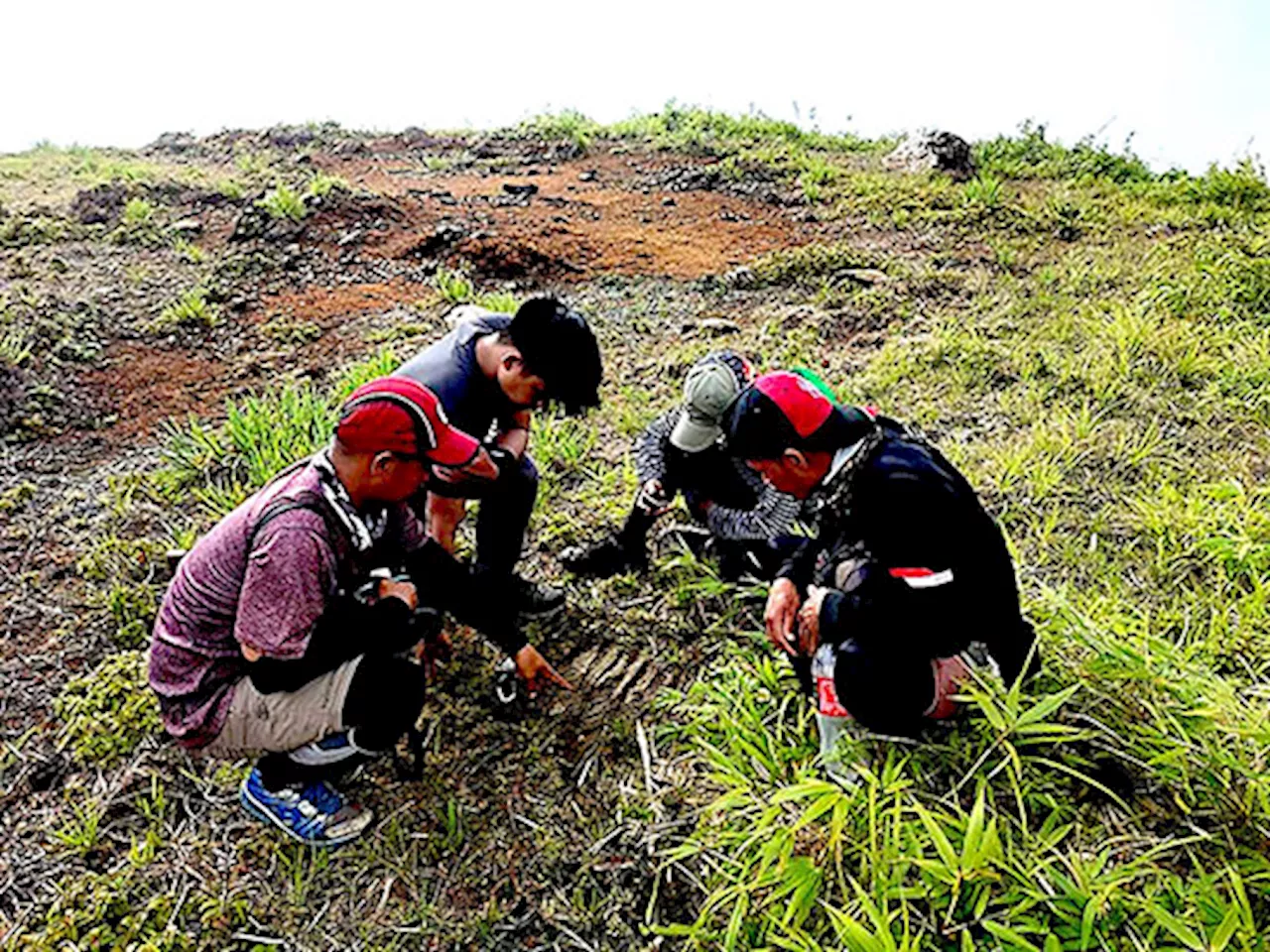 Balik Scientist sets multidisciplinary approach in tamaraw conservation | Rudolph John M. Cabangbang, Michelle P. Caparas, and Jesselle S. Laranas