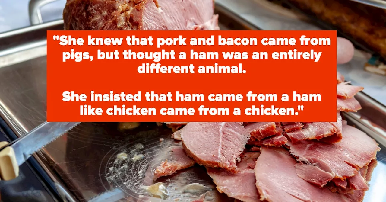 15 Stories About The Dumbest Person People Have Met