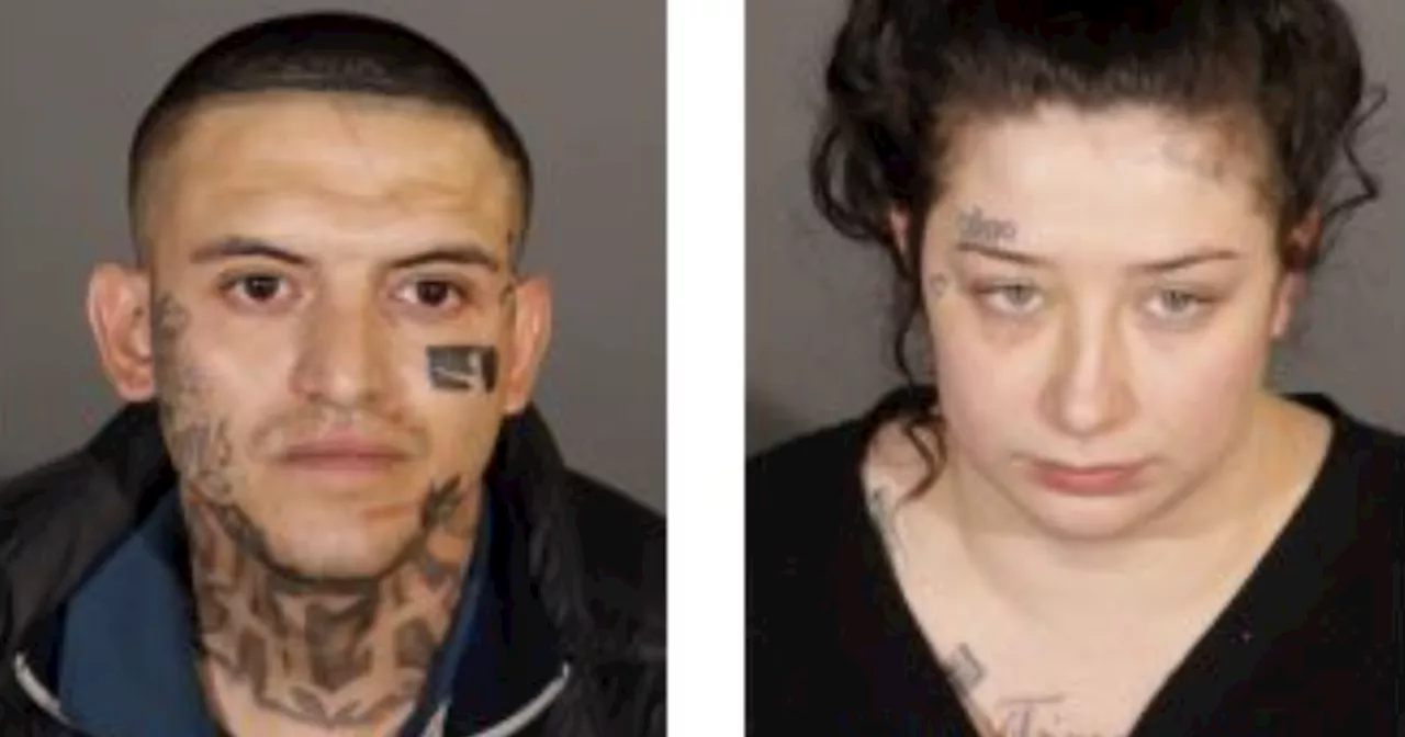 2 arrested for ambush robbery in Lincoln Park