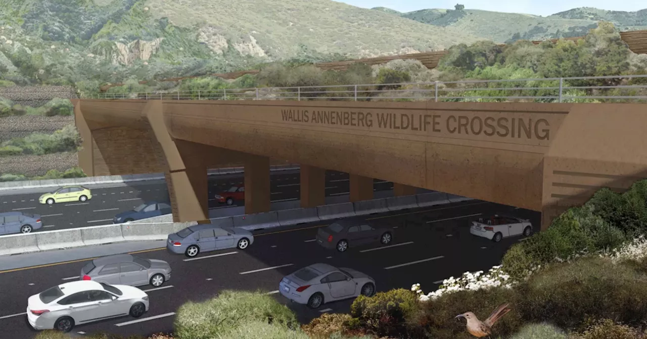 Overnight Closures on 101 Freeway for Wildlife Crossing Construction