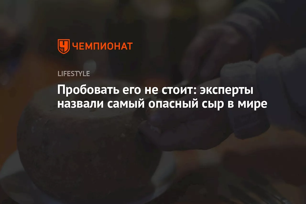 Пробовать его не стоит: эксперты назвали самый опасный сыр в мире