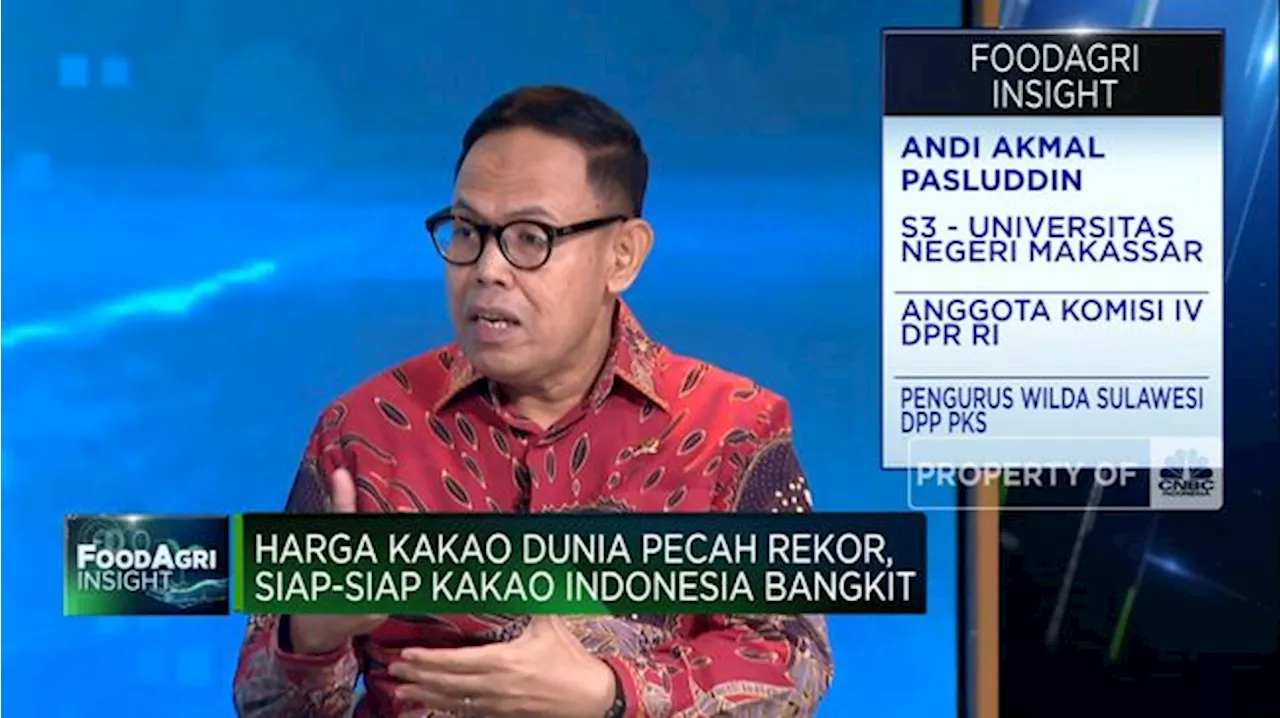 Video: Genjot Produksi Saat Harga Kakao Dunia Tembus Rekor, Caranya?