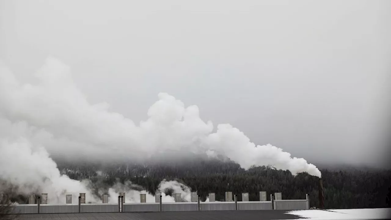 Den gröna given och industrigiv: en symbios för att nå klimatmålen