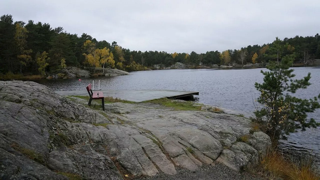 ”Vet fortfarande inte vad som hände i Baneheia”