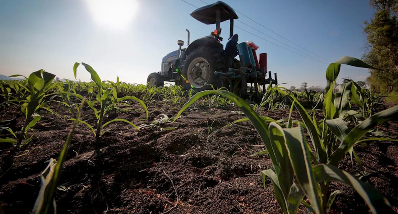 Balanza agroalimentaria de México registra superávit de mil 492 mdd en enero y febrero