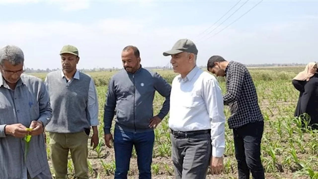 رئيس 'المركزية للتجارب الزراعية' يتفقد البرامج البحثية للمحاصيل الاستراتيجية في محطة سدس