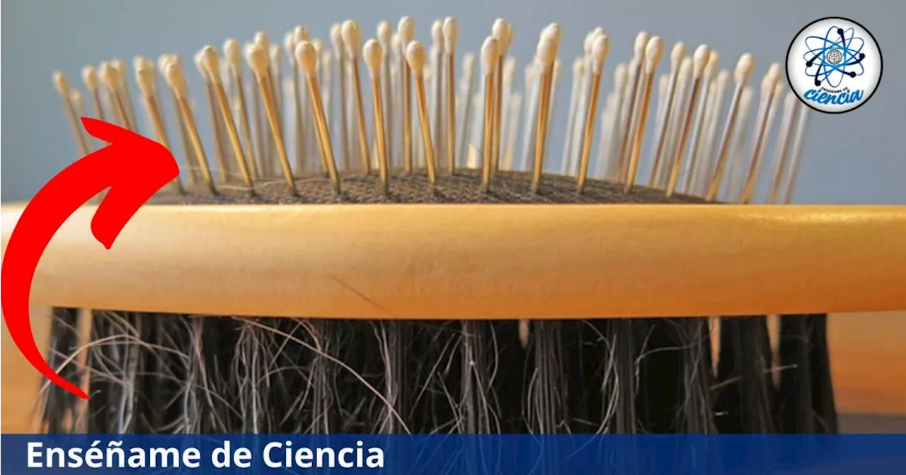 Cómo limpiar el cepillo que usas para el cabello cuando sufres de cabello graso o caspa