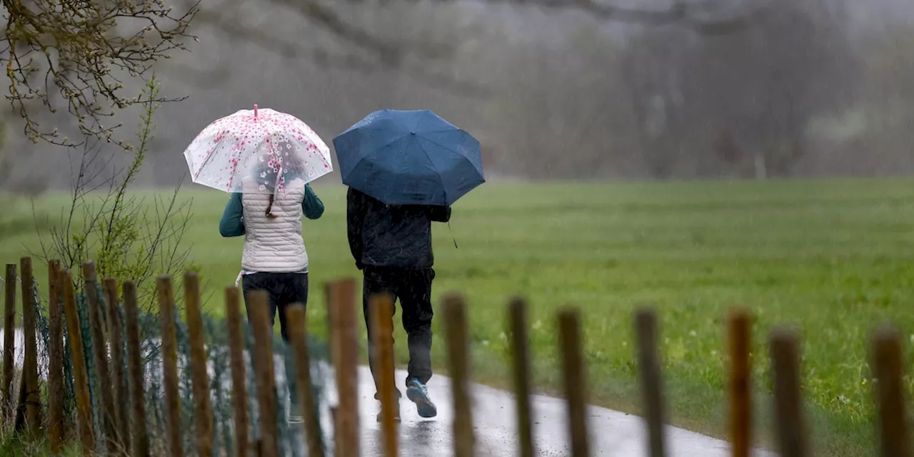 Wetter im Ticker: Hohe Waldbrandgefahr in manchen Südwest-Regionen am Sonntag