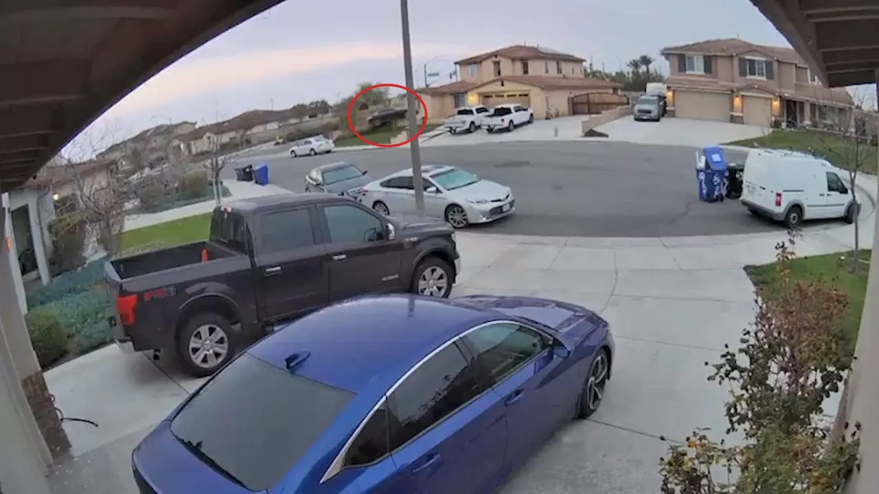 Doorbell camera captures moment car goes airborne into California home