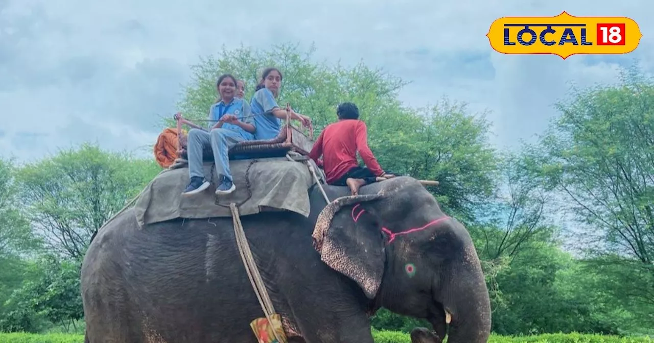 यहां है भारत का पहला हाथी गांव, पर्यटन के लिए है खास, हाथियों की सादगी देखकर रह जाएंगे दंग