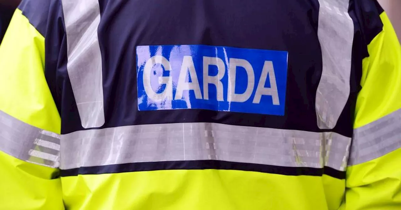 Man Arrested After Body Found in Naas Residence