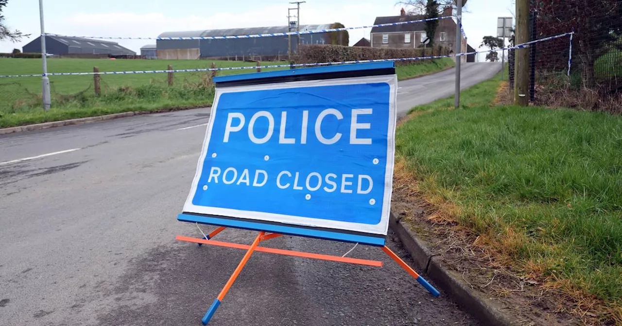 Two officers and a motorist injured in police car collision in Newry