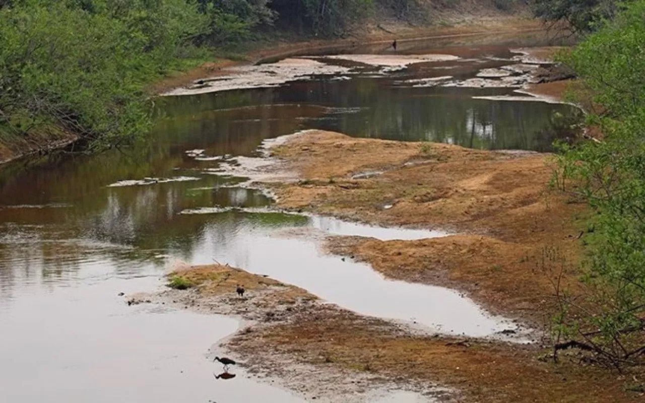 Apesar de previsões de chuvas no Pantanal, cenário na Bacia do Rio Paraguai ainda é crítico