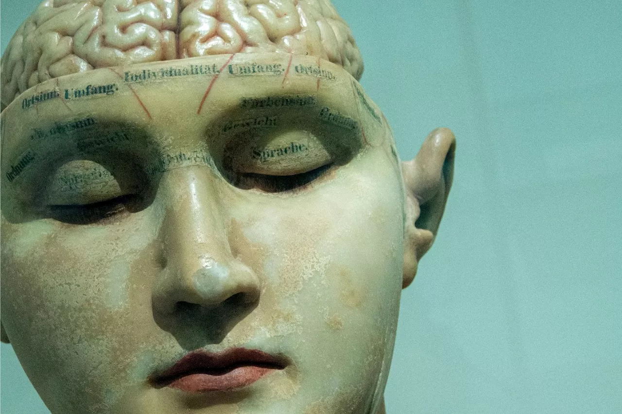 Implants cérébraux : qui est Synchron, le concurrent de Neuralink ?