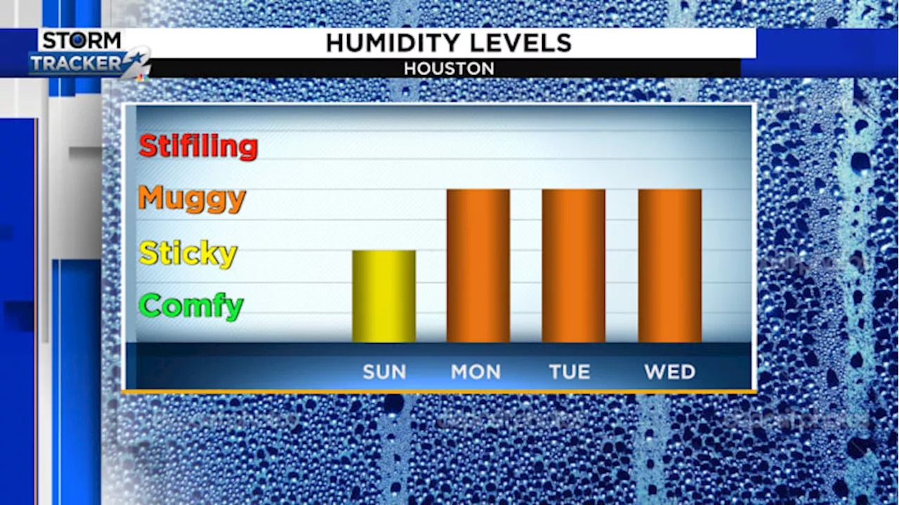 Mostly sunny kind of Sunday in Houston; when will breezy, humid weather returns?