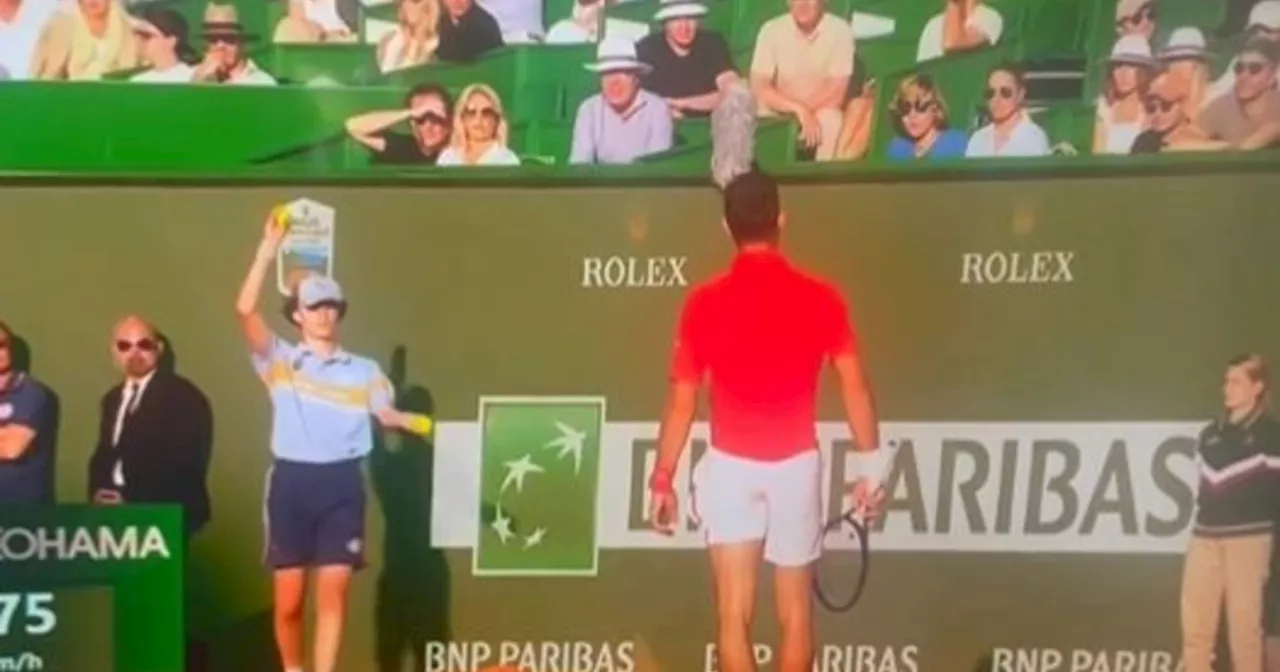 Novak Djokovic, alta tensione in campo col tifoso: &#034;Chiudi la bocca!&#034;, il video