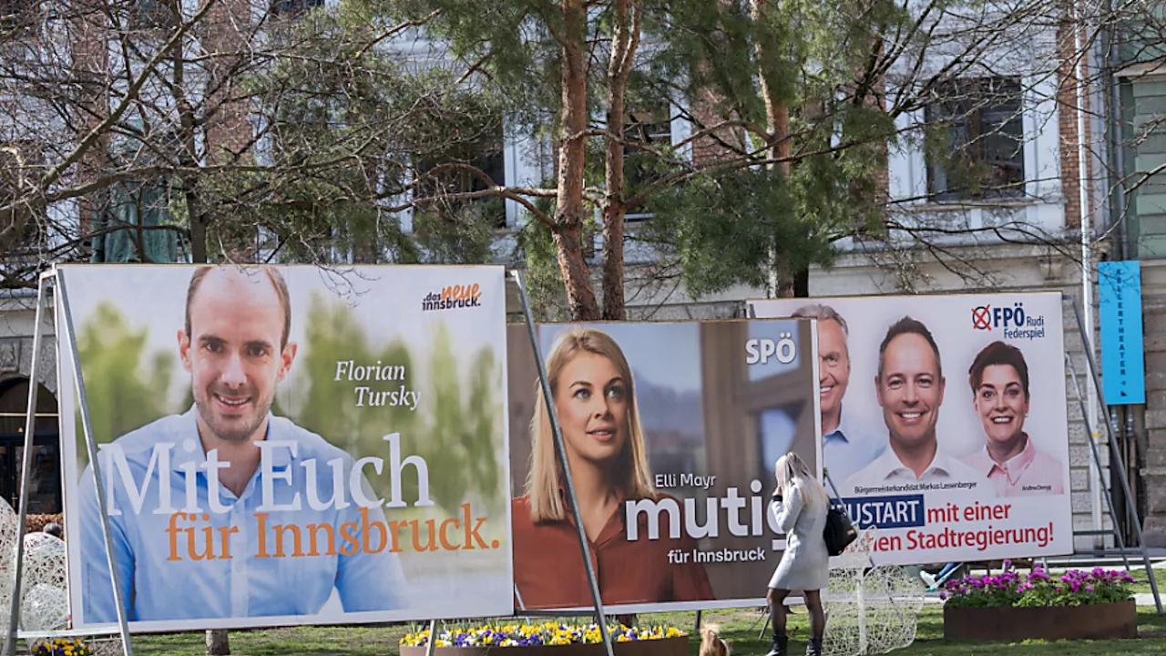 Willi sieht 'enge' Wahl, Tursky mit 'gutem Gefühl'