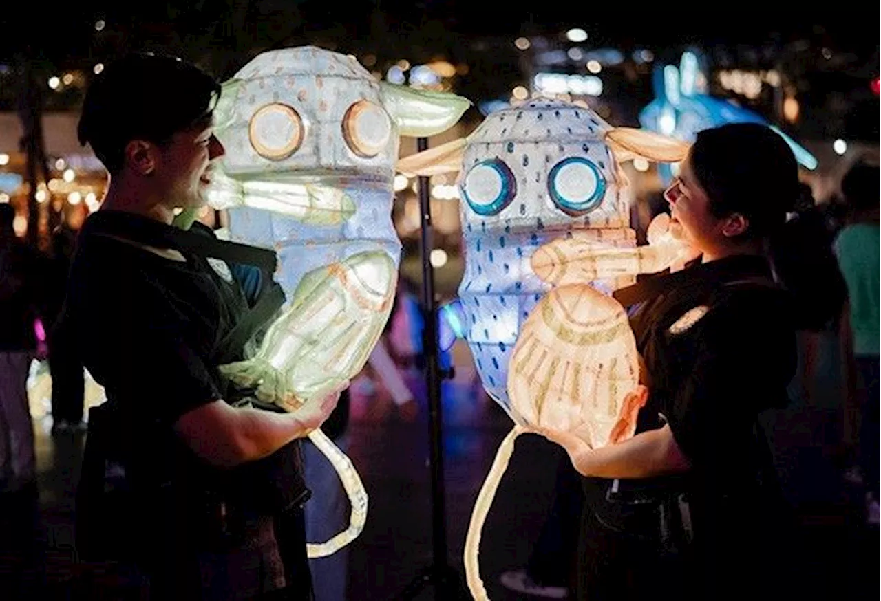 BGC hosts free light festival featuring nature-inspired art installations