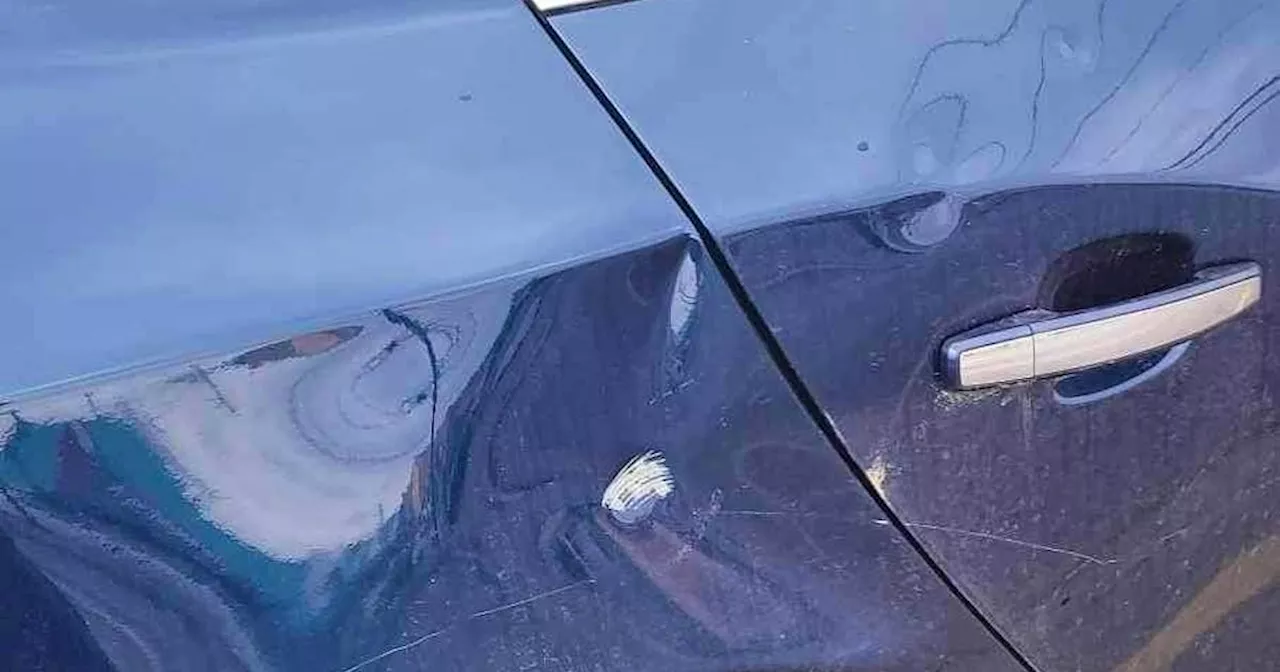 P.E.I. man arrested after hammer attack on Brackley Point Road