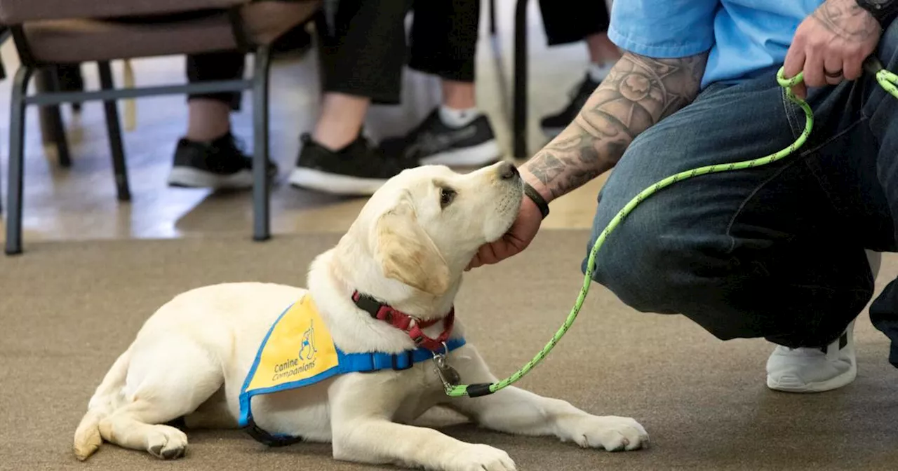 San Quentin trainers teach future service dogs