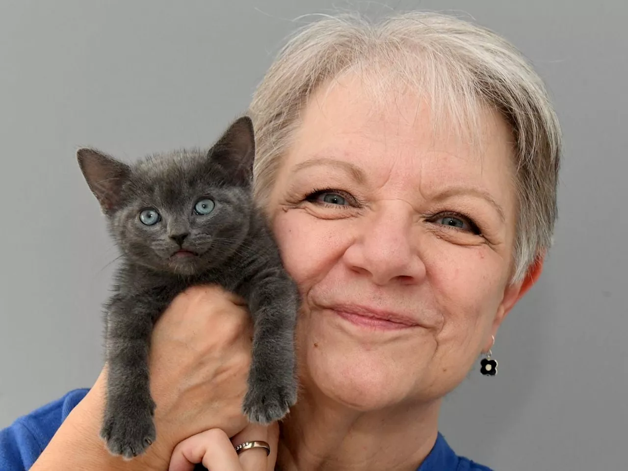 Fosterer Provides Safe Haven for Rescue Cats and Kittens