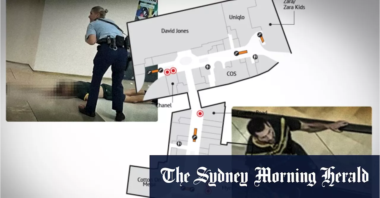 How the terrifying Bondi attack unfolded, floor by floor