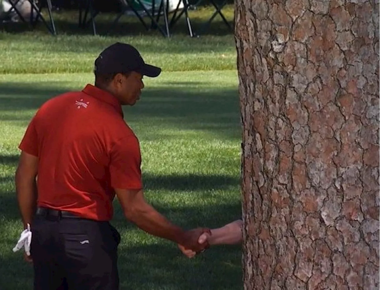 Tiger Woods becomes instant meme but real reason for viral Masters photo was wholesome...