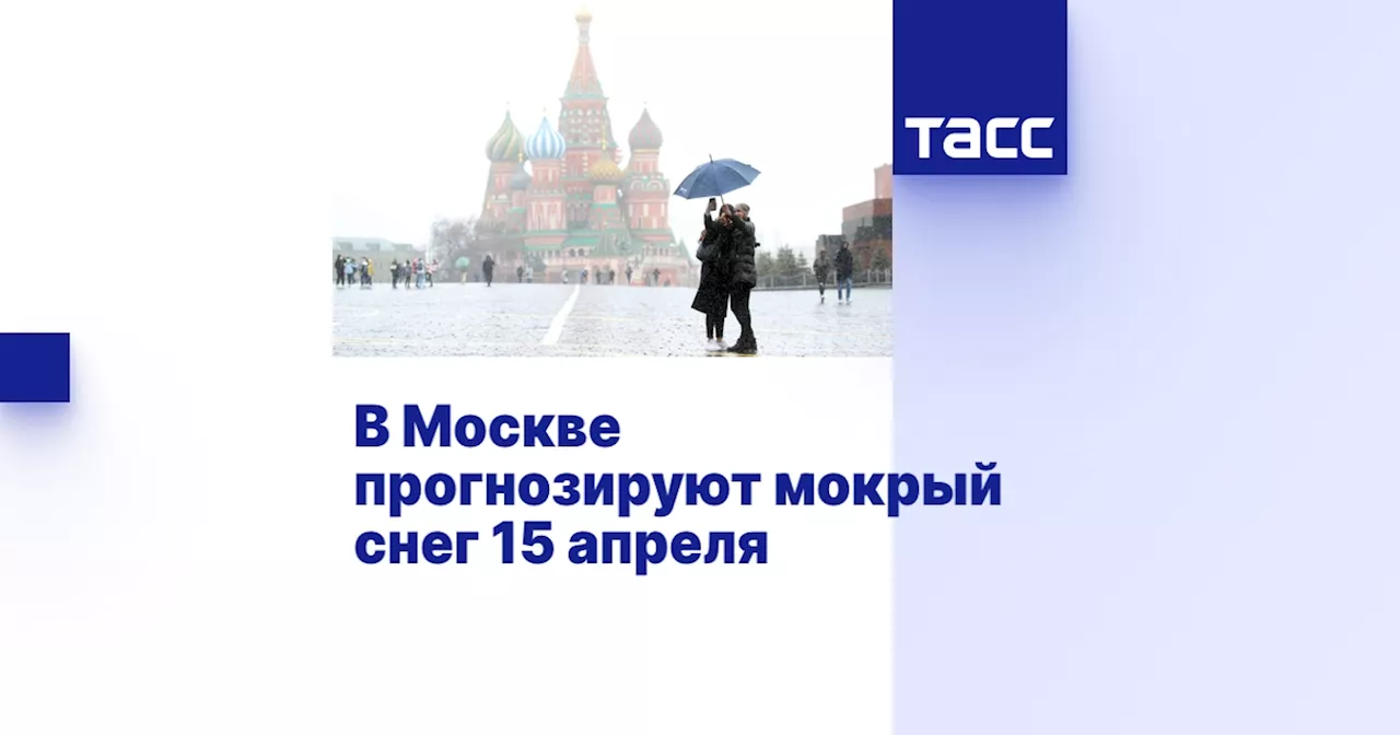 В Москве прогнозируют мокрый снег 15 апреля