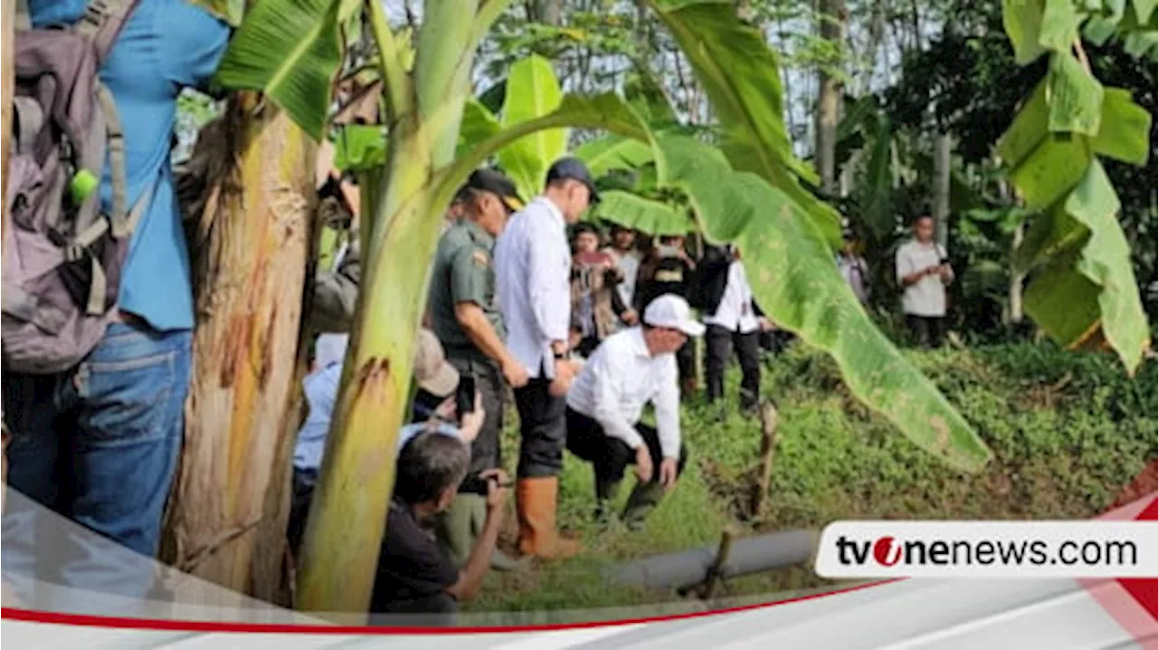 Dukung Program Pompanisasi, Kementan Gencarkan Listrik Masuk Sawah