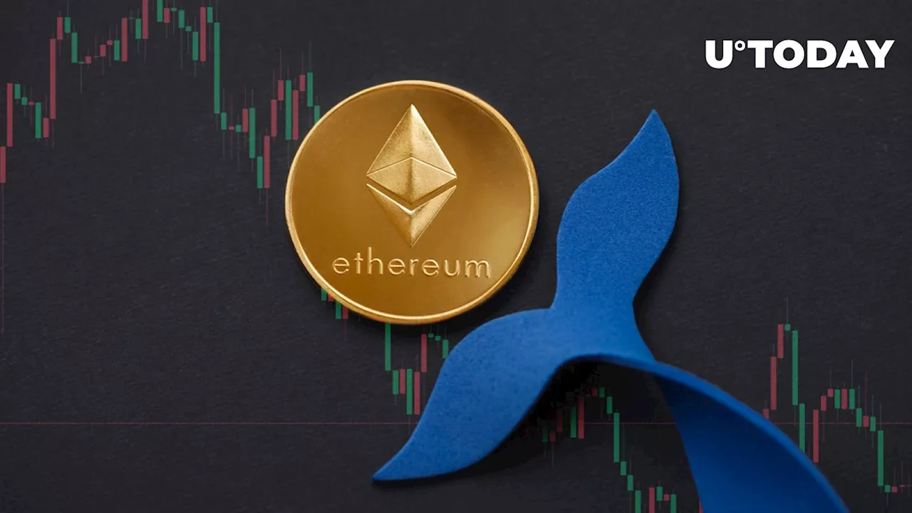 ETH Whale Accumulates Millions of Dollars Worth of Ethereum Amid Market Downturn