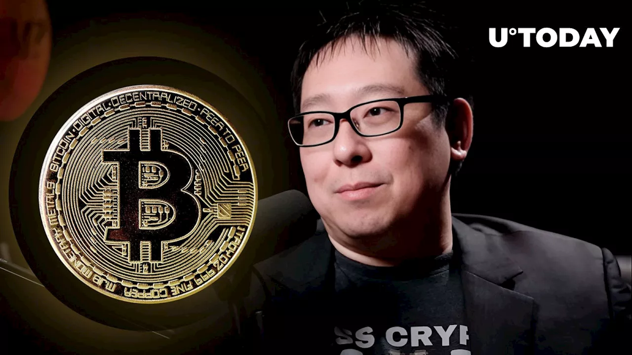 'Really Bullish on Bitcoin': Samson Mow Breaks Silence After Crypto Bloodbath